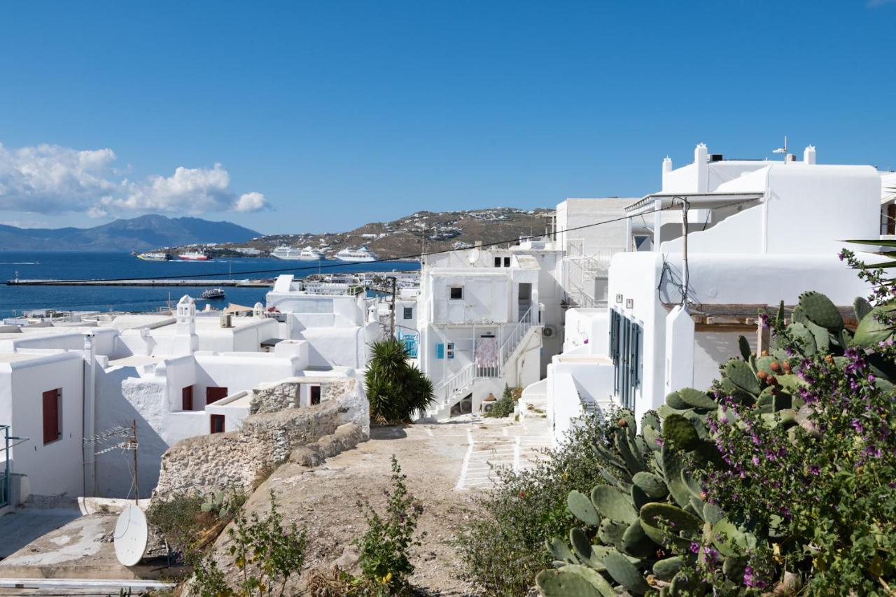 Mykonos House Serene Villa Mykonos Town Exterior foto